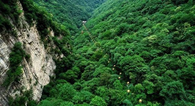 中阳县关于全民免费乘坐农村客运班车和城乡公交车的通告